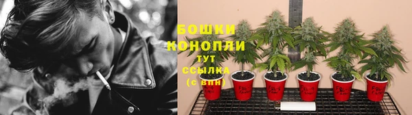 стафф Куйбышев