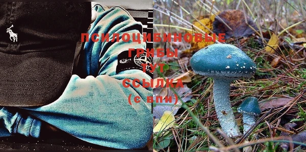 стафф Куйбышев