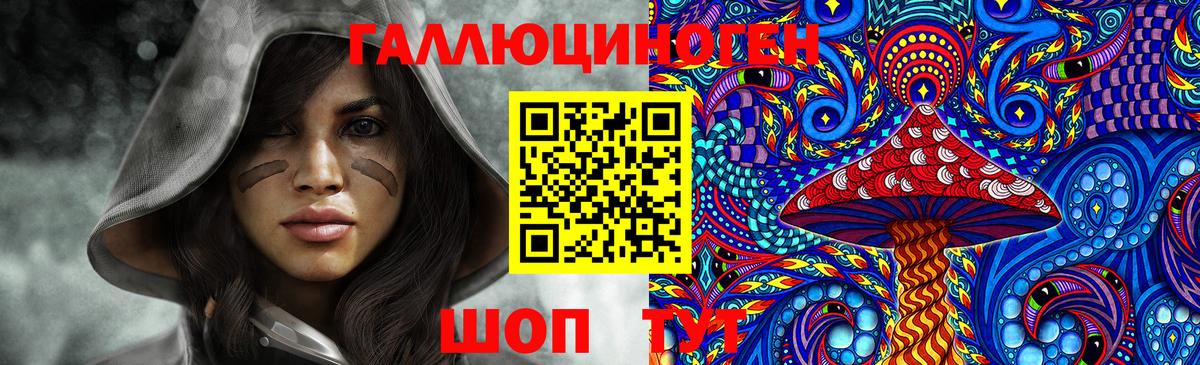 Псилоцибиновые грибы Psilocybine cubensis Строитель
